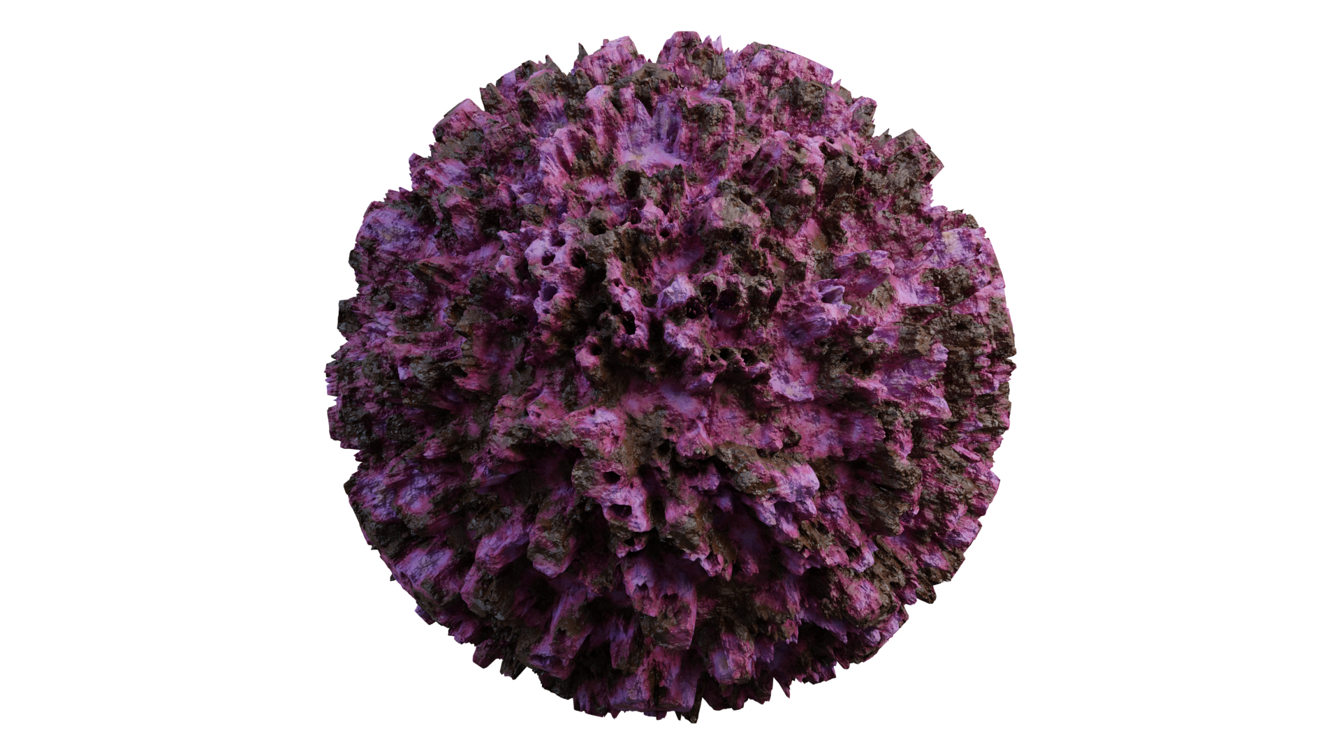 Coral 1