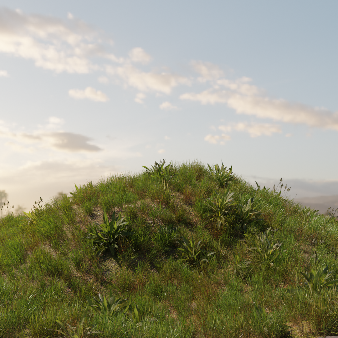 Grass